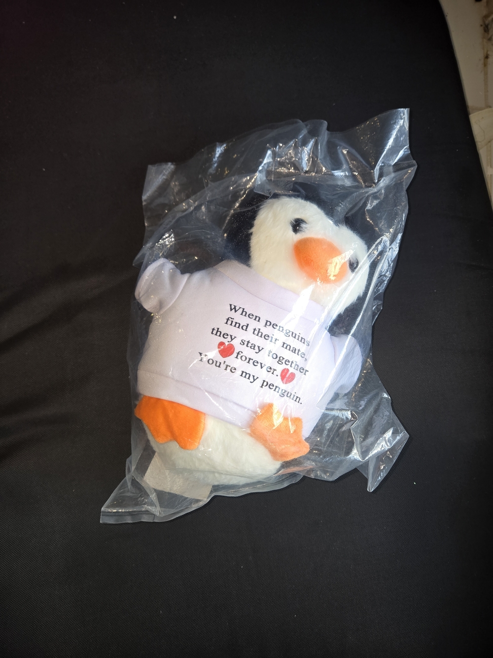 Plush Penguin Pet Toy in White and Orange with Printed Shirt